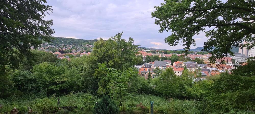 Ruhig gelegene 3-Zimmer-Wohnung mit Wintergarten auf großem Grundstück am Friedensberg