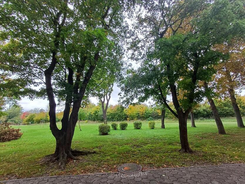 Die perfekte Studi-WG - möbliert - 1. OG mitte zimmer