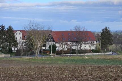 Wohnung Klipphausen - 1.5 Zimmer, 39 m&sup2;, 250&euro; | Angebot:24788046