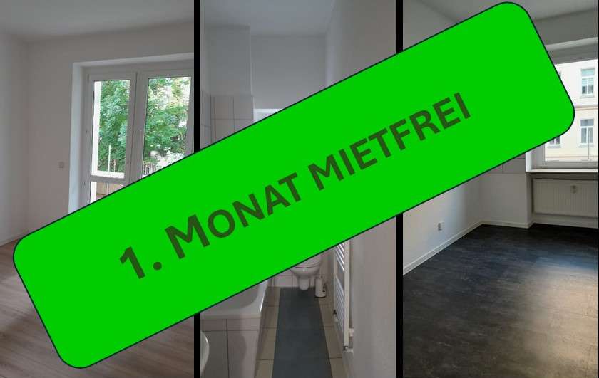 Wohnung zum Mieten in Plauen 240 € 48 m² 2 zimmer