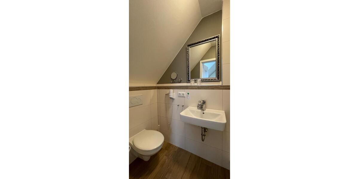 möbliertes 1-Zimmer-Apartment mit eigenem Bad in Mainzer Toplage 1 zimmer