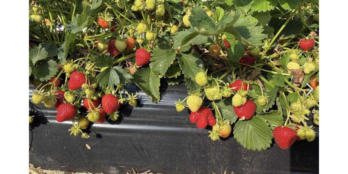 Etagenwohnung Tostedt (Kreis Harburg) Tostedt - 3 Zimmer, 83 m&sup2;, 996&euro; | Angebot:24478321