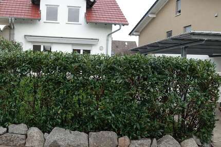 Haus zum Mieten in Einhausen 2.180 € 174 m² 5 zimmer