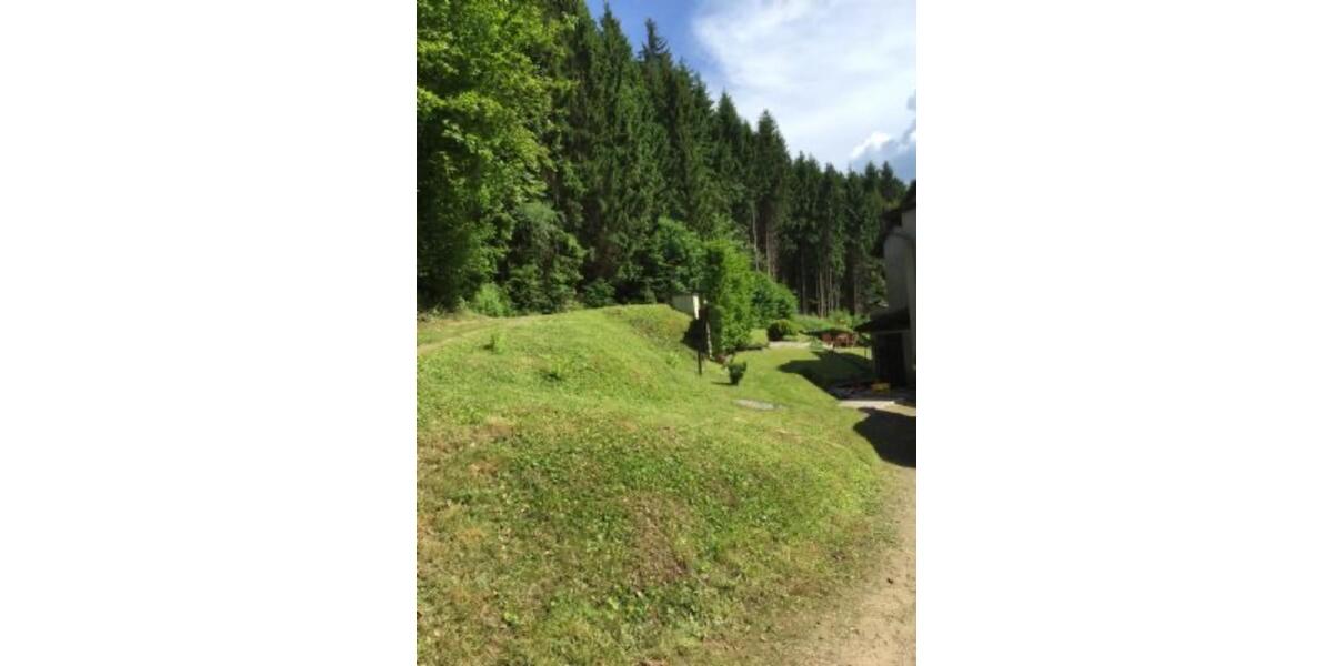 Erdgeschoßwohnung Bad Sachsa - 2 Zimmer, 51 m&sup2;, 400&euro; | Angebot:24676734