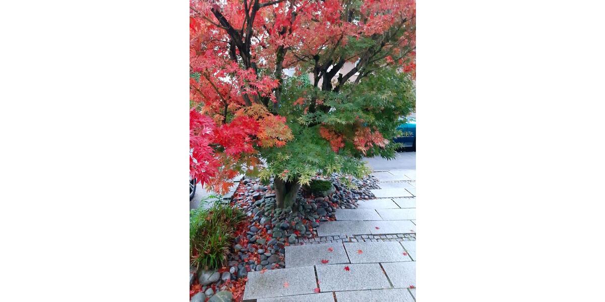 Wohnen auf Zeit Paderborn Univiertel - 2 Zimmer, 60 m&sup2;, 1.280&euro; | Angebot:25162280