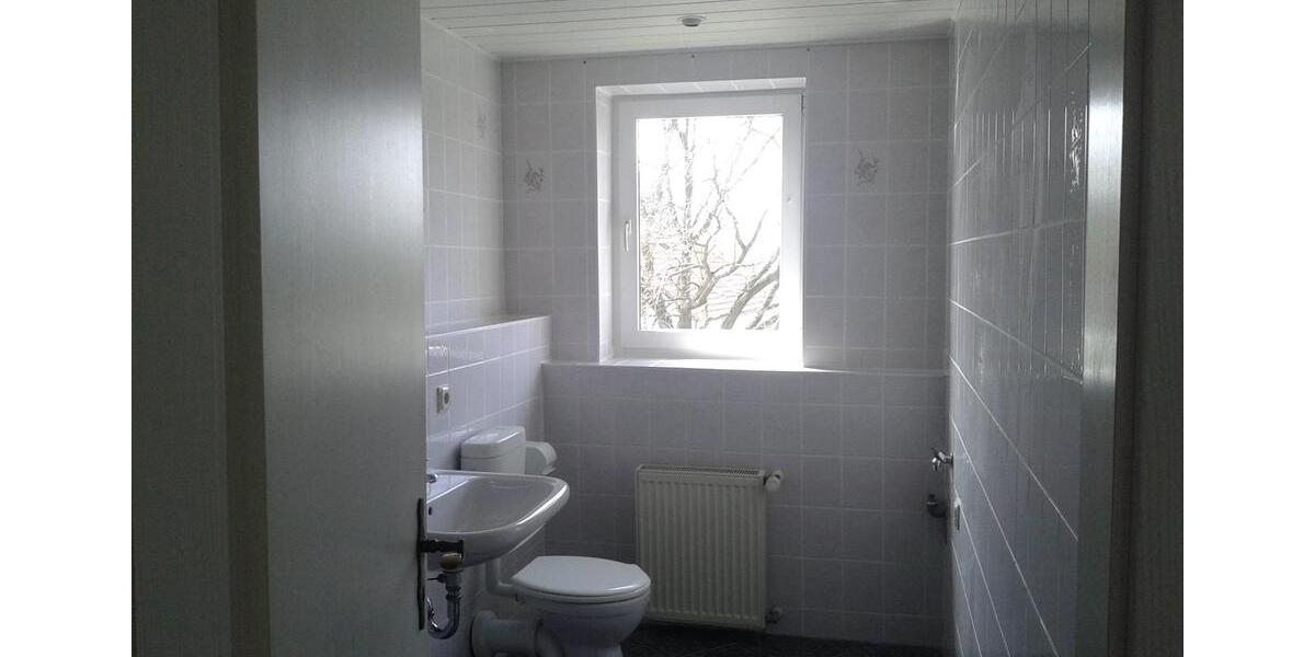 Dachgeschoßwohnung Großschirma - 2 Zimmer, 55 m&sup2;, 340&euro; | Angebot:17603423