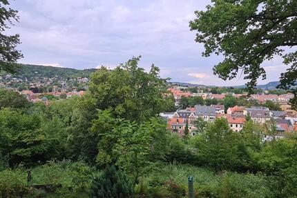 Ruhig gelegene 3-Zimmer-Wohnung mit Wintergarten auf großem Grundstück am Friedensberg