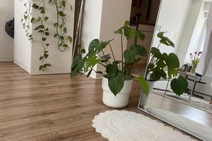 Wohnung Magdeburg Alte Neustadt - 1 Zimmer, 48 m&sup2;, 550&euro; | Angebot:26194500