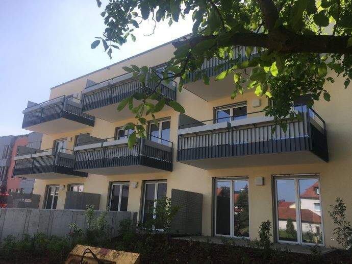 Etagenwohnung Radebeul Niederlößnitz - 2 Zimmer, 54 m&sup2;, 540&euro; | Angebot:25958384