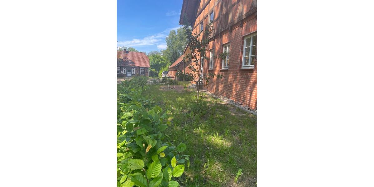Erdgeschoßwohnung Eschede - 2 Zimmer, 65 m&sup2;, 620&euro; | Angebot:26693493