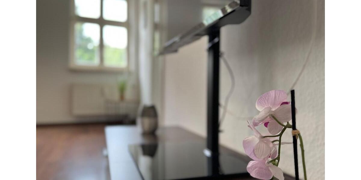 Wohnen auf Zeit Erfurt Andreasvorstadt - 3 Zimmer, 85 m&sup2;, 14&euro; | Angebot:24627972