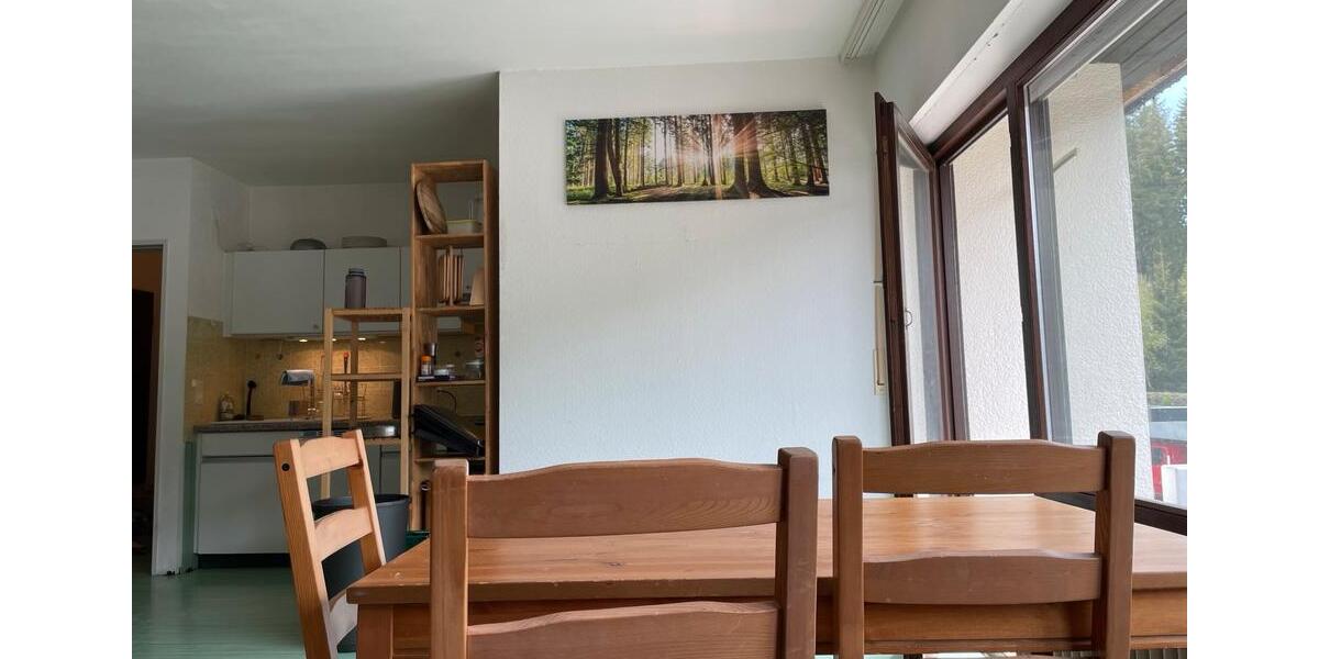 Etagenwohnung Schluchsee - 1.5 Zimmer, 50 m&sup2;, 520&euro; | Angebot:26529049