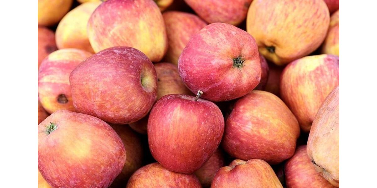 Etagenwohnung Oberkirch - 3 Zimmer, 91 m&sup2;, 683&euro; | Angebot:24788684