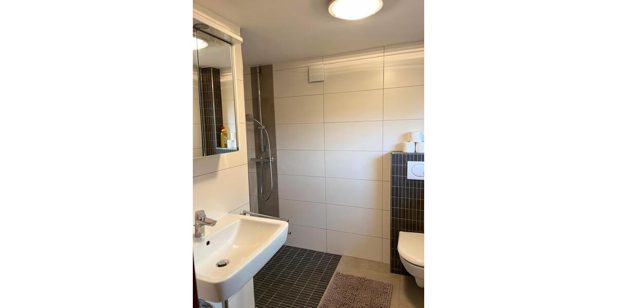 Wohnen auf Zeit Heidenau - 4 Zimmer, 60 m&sup2;, 30&euro; | Angebot:24528058