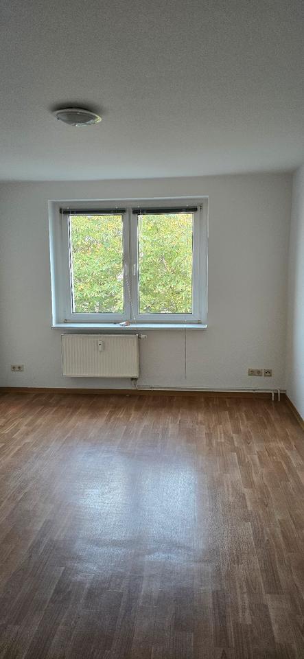 frisch renoviert und bezugsfrei 3 Zimmer in der Nordstraße zimmer