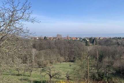 Wohnung zum Mieten in Bannewitz 660 € 82.5 m²