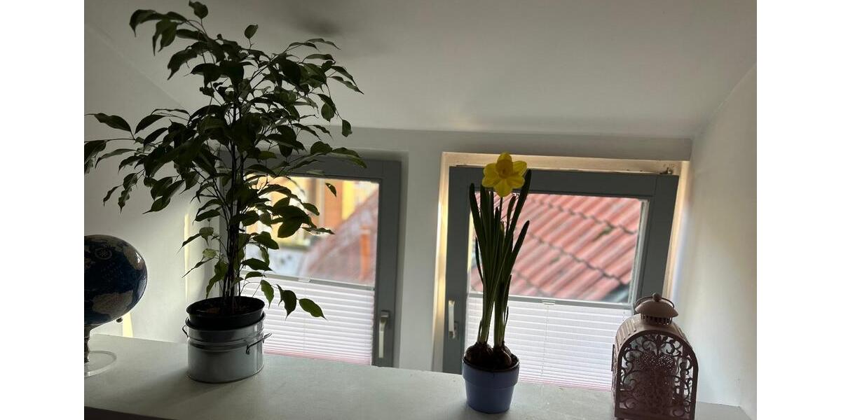 Dachgeschoßwohnung Boizenburg/Elbe Elbe - 1 Zimmer, 25 m&sup2;, 420&euro; | Angebot:26705586