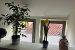 Dachgeschoßwohnung Boizenburg/Elbe Elbe - 1 Zimmer, 25 m&sup2;, 420&euro; | Angebot:26705586
