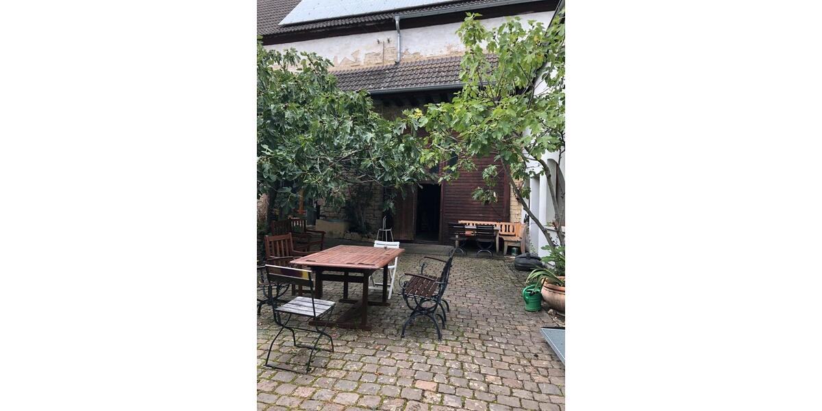 Erdgeschoßwohnung Kindenheim - 1 Zimmer, 34 m&sup2;, 255&euro; | Angebot:25516757
