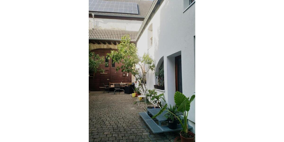 Erdgeschoßwohnung Kindenheim - 1 Zimmer, 34 m&sup2;, 255&euro; | Angebot:25516757