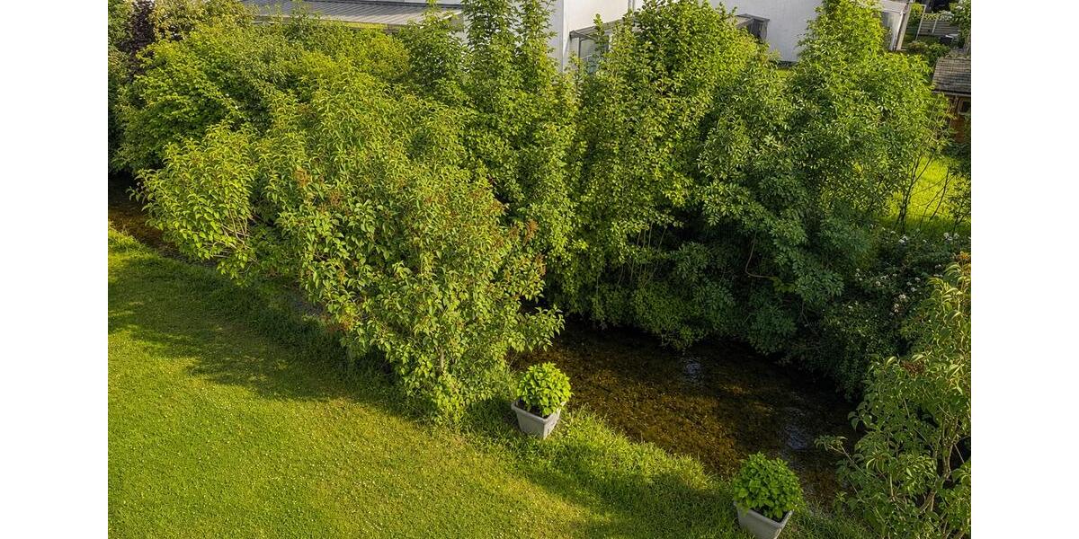 Etagenwohnung March - 3.5 Zimmer, 115 m&sup2;, 2.020&euro; | Angebot:26701928