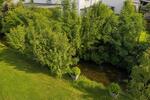 Etagenwohnung March - 3.5 Zimmer, 115 m&sup2;, 2.020&euro; | Angebot:26701928