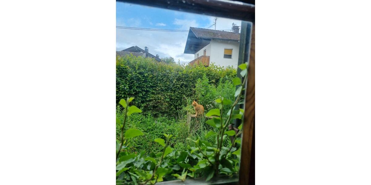 Wohnen auf Zeit Ainring - 4 Zimmer, 140 m&sup2;, 1.300&euro; | Angebot:25044540