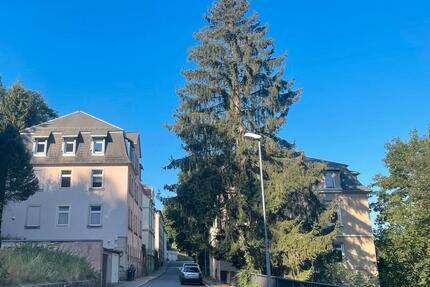 Schöne 2 Zi Wohnung 50 m² Hochpaterre in Zentrumsnähe 2 zimmer