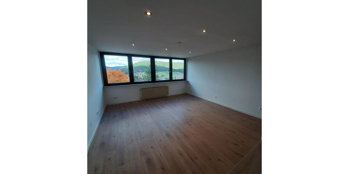 Dachgeschoßwohnung Baiersbronn - 2 Zimmer, 65 m&sup2;, 800&euro; | Angebot:26001344