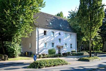 Wohnung Gelsenkirchen Scholven - 2 Zimmer, 41 m&sup2;, 309&euro; | Angebot:27684382