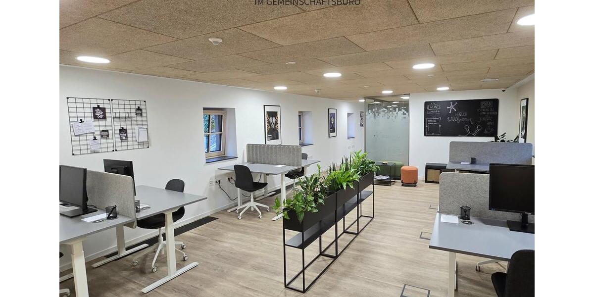 Gewerbeobjekt Bernkastel-Kues Kues - 295&euro; | Angebot:20365118