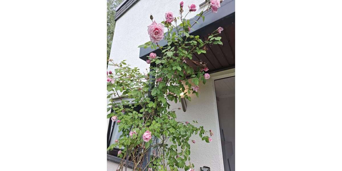 Etagenwohnung Baiersbronn - 3.5 Zimmer, 80 m&sup2;, 685&euro; | Angebot:27231204