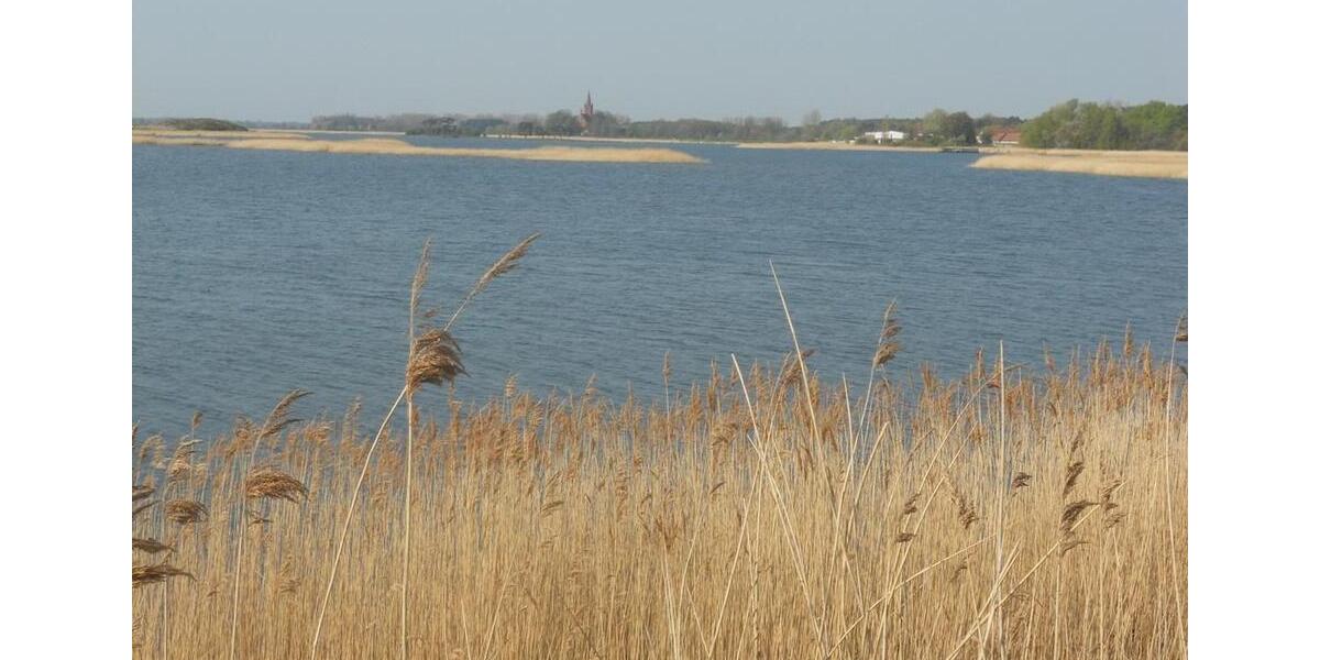 Erdgeschoßwohnung Greifswald Eldena - 3 Zimmer, 58 m&sup2;, 380&euro; | Angebot:26210777