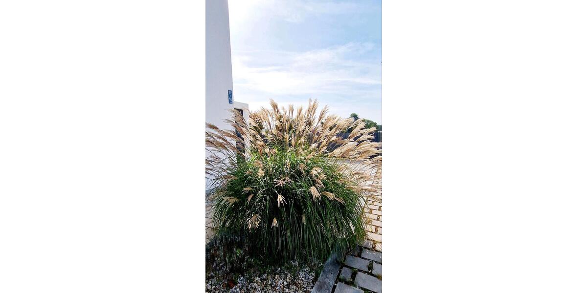 Doppelhaushälfte Pilsting - 3.5 Zimmer, 130 m&sup2;, 3.500&euro; | Angebot:26227856