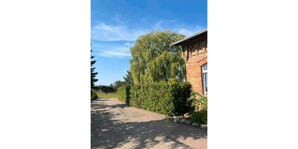 Etagenwohnung Lalendorf - 9999.9 Zimmer, 1.300 m&sup2;, 8&euro; | Angebot:20625179