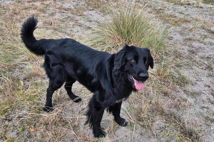 Kleines Haus oder Erdgeschosswohnung zimmer