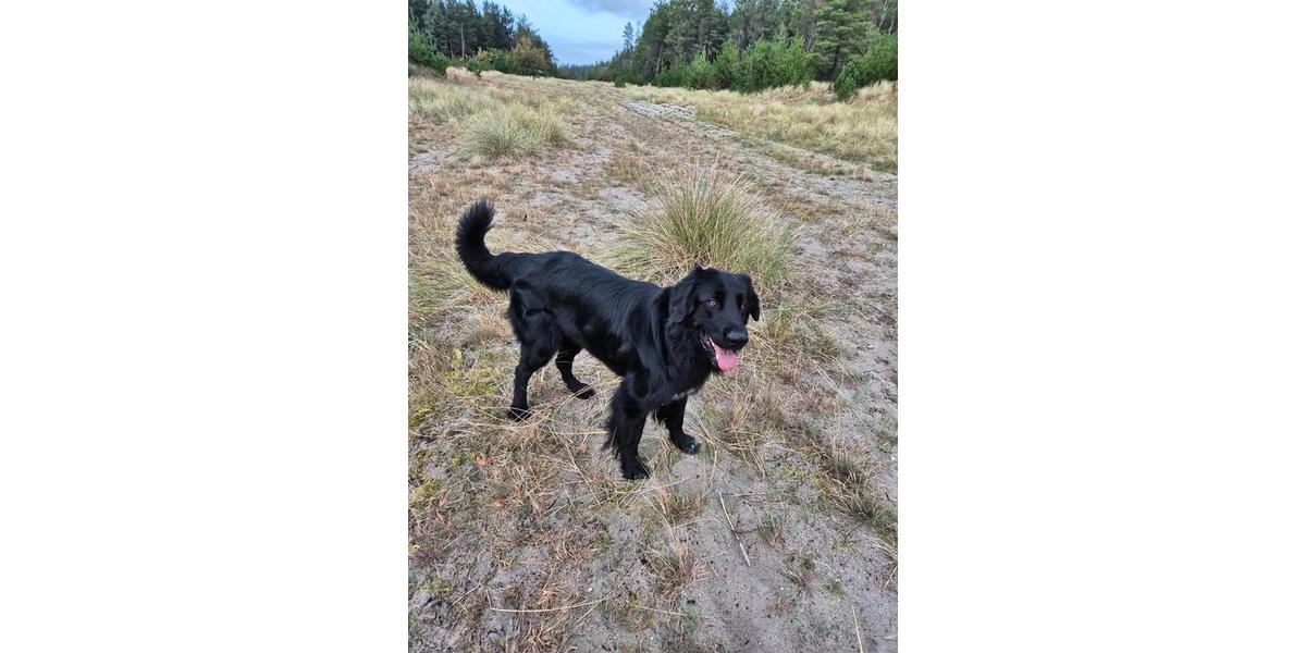 Kleines Haus oder Erdgeschosswohnung zimmer