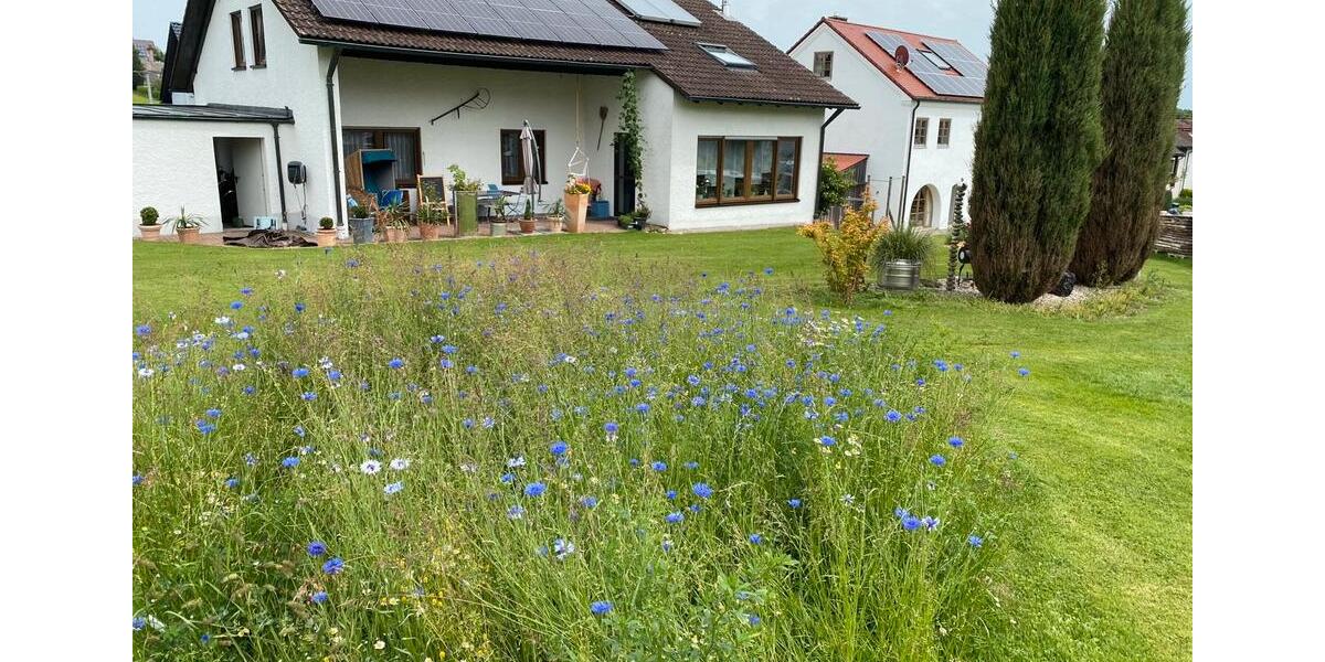 Etagenwohnung Fuchsmühl - 1 Zimmer, 28 m&sup2;, 35&euro; | Angebot:26497727