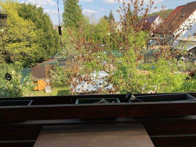 Etagenwohnung Mühlhausen - 3 Zimmer, 130 m&sup2;, 1.066&euro; | Angebot:25661069