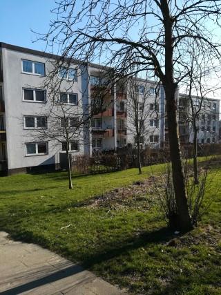 Hell und Freundlich, fast im Grünen und Stadtnah!!! 3 ZKB + Balkon - Frisch renoviert*** zimmer