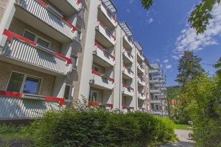 Wohnung Suhl - 1 Zimmer, 35 m&sup2;, 249&euro; | Angebot:25143809