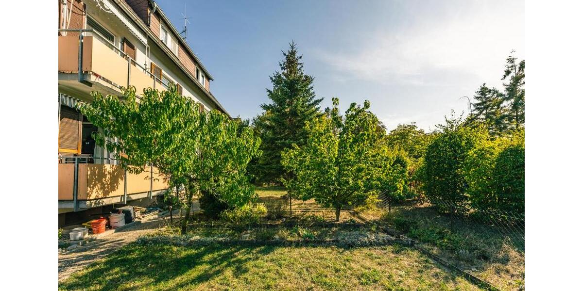 3-Zimmer-Wohnung in Weisenheim am Sand 3 zimmer