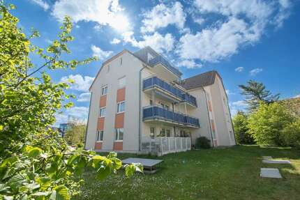 Wohnung zum Mieten in Leipzig Thekla 375 € 42 m² 1 zimmer