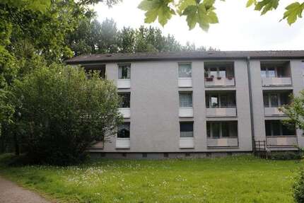 Wohnung zum Mieten in Gelsenkirchen 269 € 41.3 m²