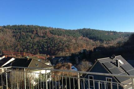 Helle 2-Zimmer-Wohnung mit Südbalkon und großem Garten 2 zimmer