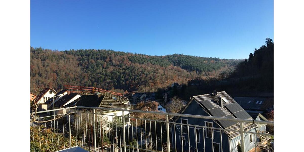 Helle 2-Zimmer-Wohnung mit Südbalkon und großem Garten 2 zimmer