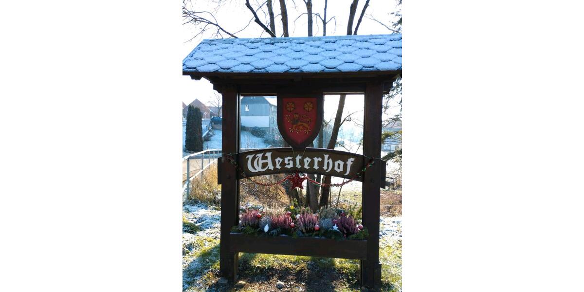 Doppelhaushälfte ca. 120qm mit Terrasse in Westerhof 4 zimmer