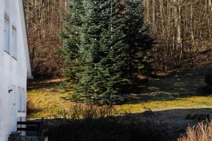 Haus Brilon - 6 Zimmer, 150 m&sup2;, 1.100&euro; | Angebot:25163567