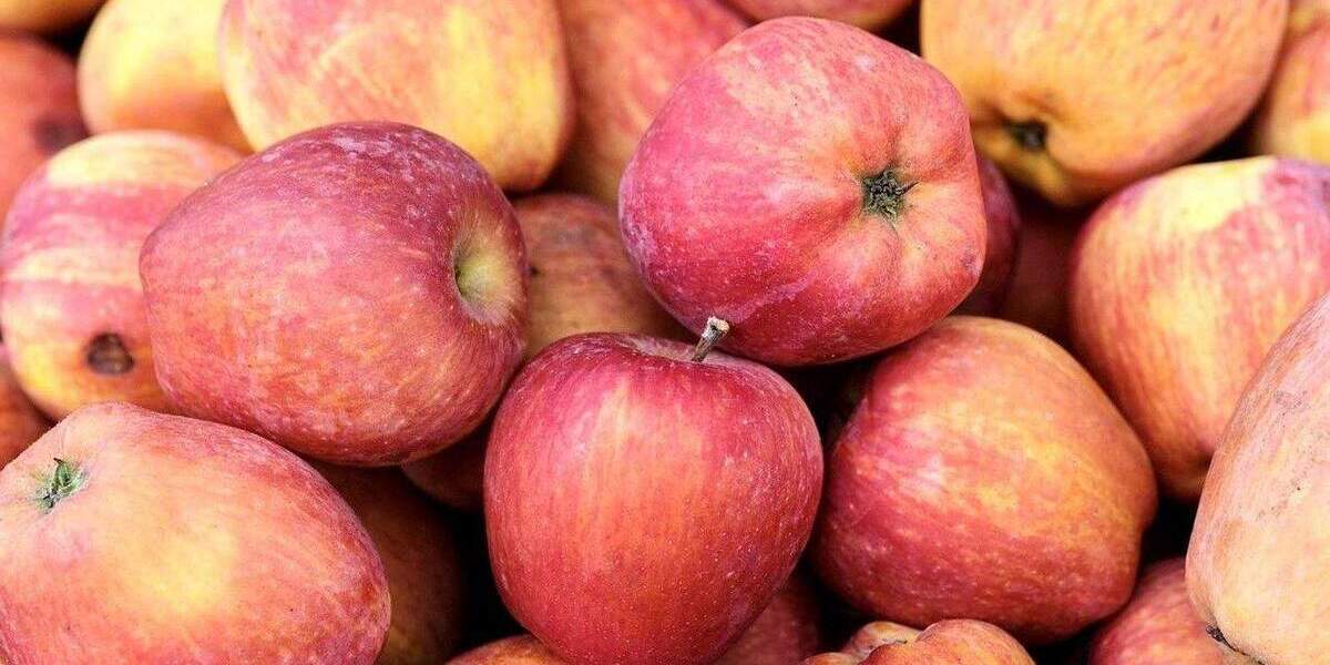 Etagenwohnung Oberkirch Tiergarten - 2 Zimmer, 48 m&sup2;, 410&euro; | Angebot:25531217