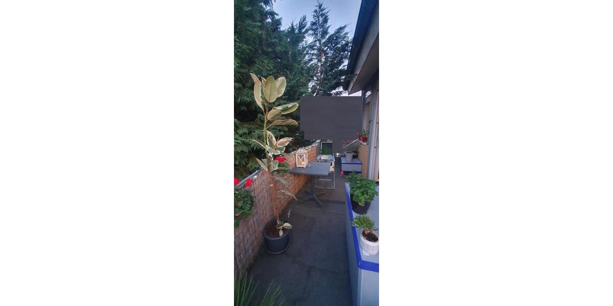 Dachgeschoßwohnung Annweiler am Trifels - 4 Zimmer, 94 m&sup2;, 950&euro; | Angebot:25767958